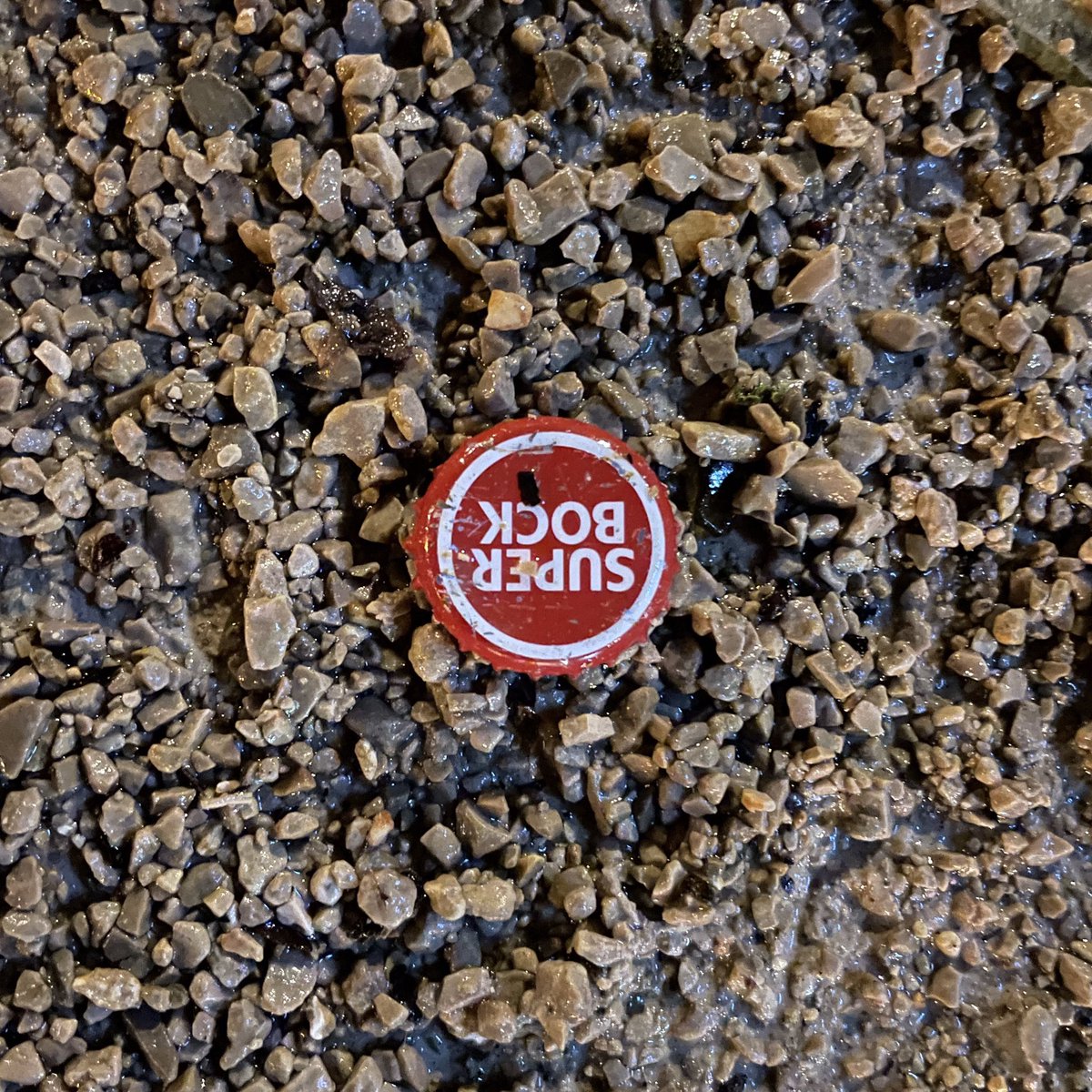 theCAP_project's tweet image. -7jan23 
 ∙1st pic #4Cap 20:20
 ∙2nd pic #7Cap 20:28
 ∙3d pic #10Cap 22:10
 ∙4th pic #15Cap 23:23
#january2023 

#cap_mapping #cap_identity #Lisbon #Portugal #the_cap_project #bottlecap 
#bottlelid #beer #soda #beverage #superbock #january #todayscaploot #loot #cap