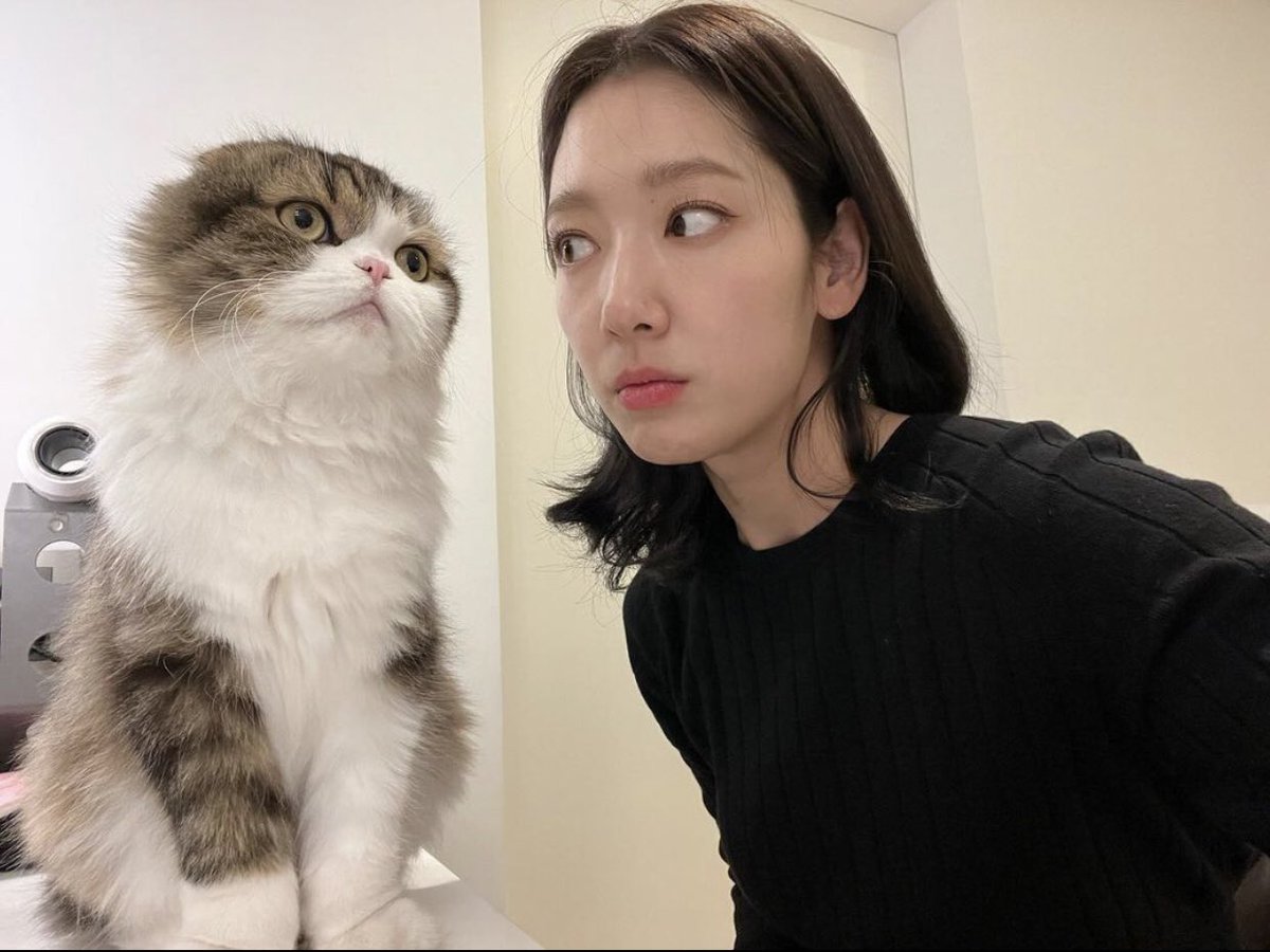 ANJELL_IFS's tweet photo. [Photos|Vid| #ParkShinHye |230106] 칸아 가만히 좀 있어봐 ㅇㅅㅇ;;

TRANS: Can you please be still ㅇㅅㅇ

https://t.co/GbcC7p4DoV https://t.co/EaeIDSVIbD
