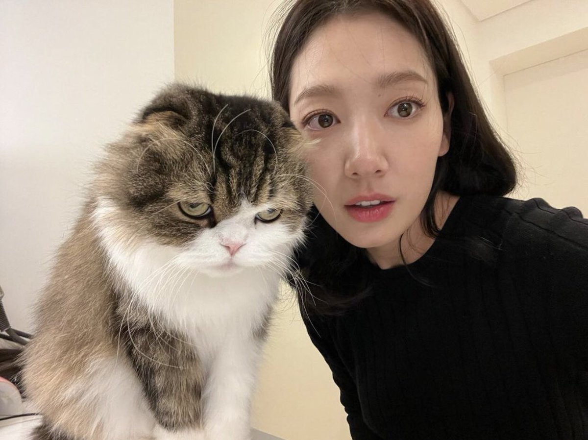 ANJELL_IFS's tweet photo. [Photos|Vid| #ParkShinHye |230106] 칸아 가만히 좀 있어봐 ㅇㅅㅇ;;

TRANS: Can you please be still ㅇㅅㅇ

https://t.co/GbcC7p4DoV https://t.co/EaeIDSVIbD