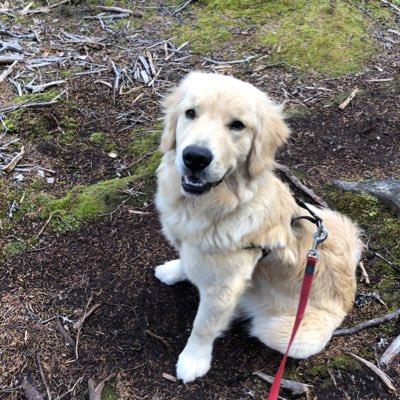 Michell42577033's tweet photo. #NewProfilePic https://t.co/NRhxIlHzI0