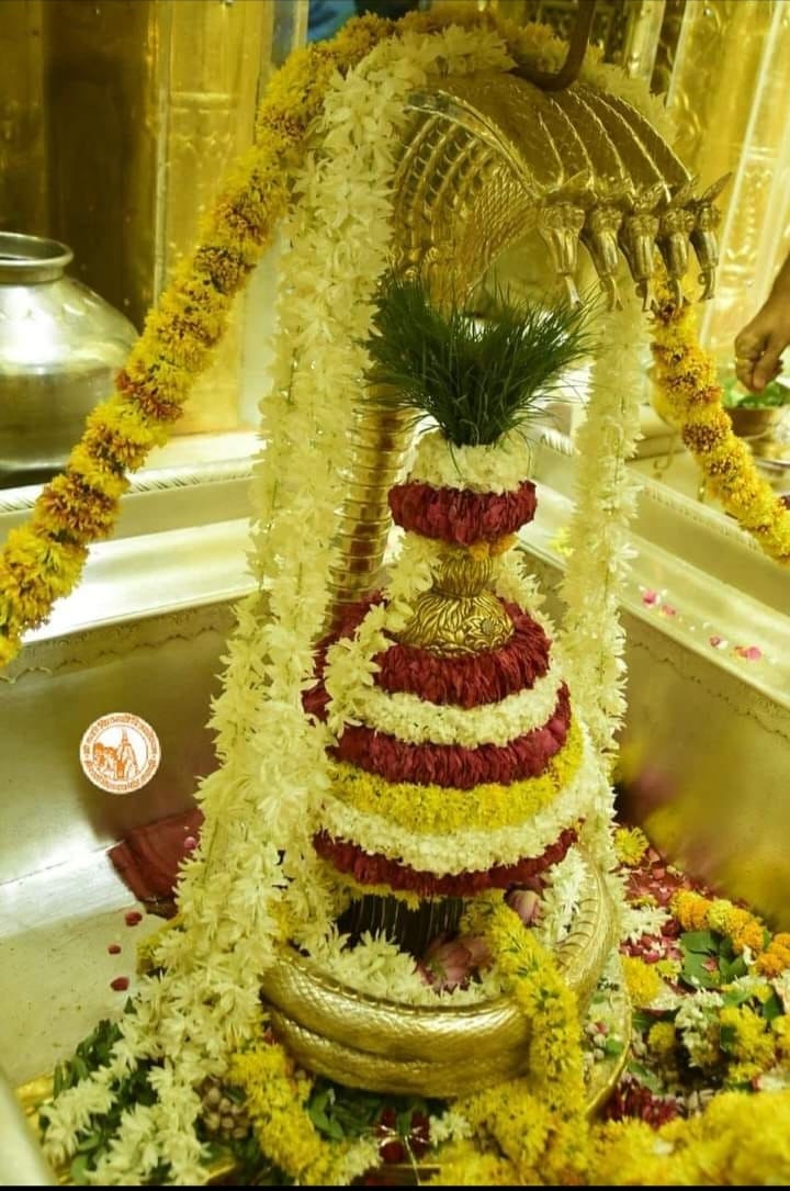 ॐ त्र्यम्बकं यजामहे सुगन्धिं पुष्टिवर्धनम् उर्वारुकमिव बन्धनान्मृ त्योर्मुक्षीय मामृतात् 

हर सांस आपकी मोती है
अगर उसमें शिवनाम की "ज्योति" हैं.!!

ॐ नमः शिवाय🚩🙏  
हर हर महादेव 🚩🙏 
सुप्रभात 🌷💐
आपका दिन शुभ हो 🌸🌷💐