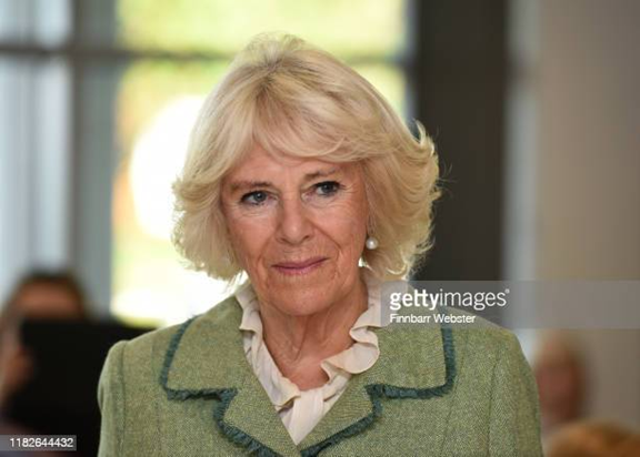 kallywilli's tweet photo. I just finished watching #PrinceHarryInterview 
with #TomBradby -- heartbreaking.

Camilla broke Princess Diana's marriage n drove her death. Camilla is also the same woman leaking lies about #HarryAndMeghan to the fascist UK media. Camilla is heartless. 

#CamillaTheLeaker https://t.co/UTRvTi9fr4