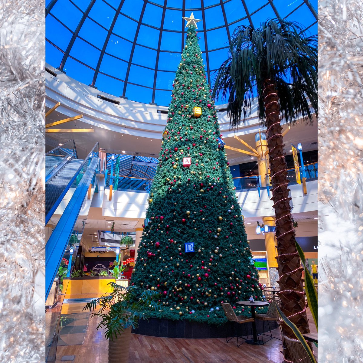 EleKtroKJC's tweet photo. 🎄Árbol de Navidad en Portal Rosario y Alto Rosario 🎄

Me encantaron ambos 🎉🎉🎉

#XmasTime #XmasTree #Navidad #Xmas #Christmas #LightXmasTree #FelizNavidad #HappyXmas #PortalRosario #AltoRosario #Xmas2022 #Navidad2022 https://t.co/OUc7EqzBsZ