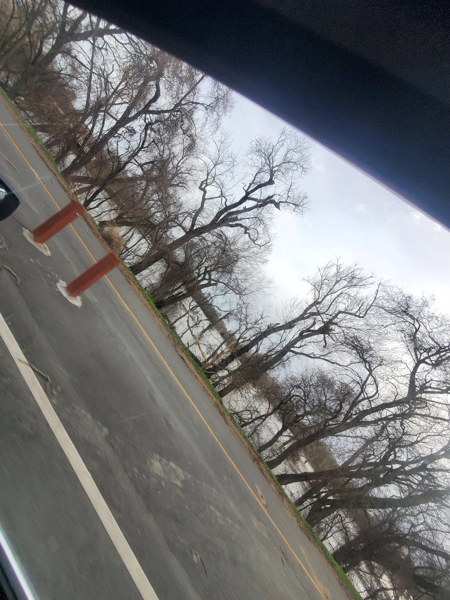 xAngelicFigure's tweet photo. Never seen it this full before.. 
😭😭 #Sacramento https://t.co/XsNV3Go7Uq