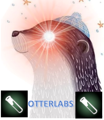 make otterlabs #otterlabs