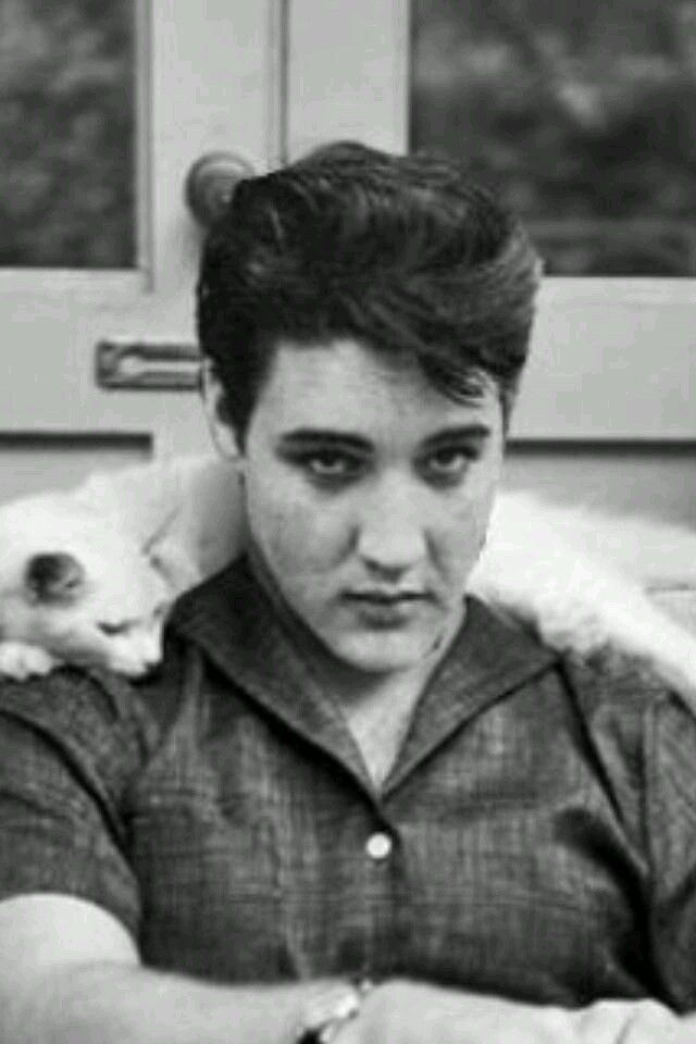 'Animals don’t hate, and we’re supposed to be better than them.” ~ Elvis Presley #quote #quotes #happybirthdayelvis #theking #kingofrocknroll #signaturescent 🌿🦊💜🌺