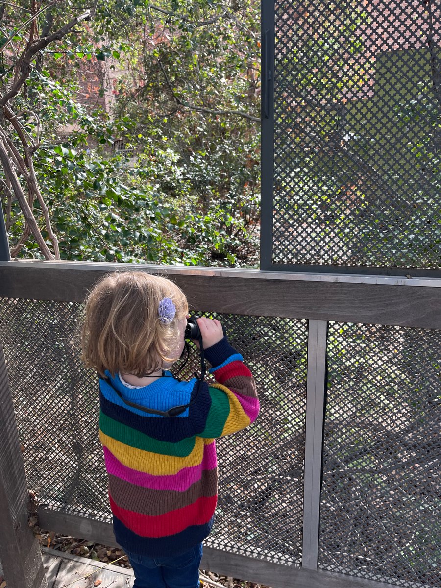 clare kelly tweet media