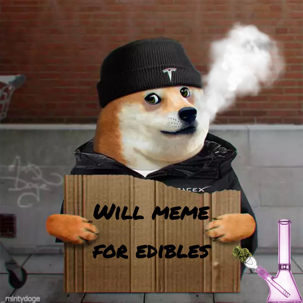 Vara 💎 tweet media