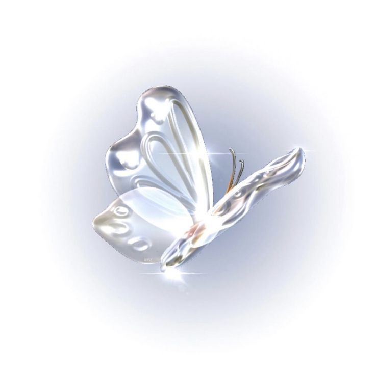 ENVÍEN CC tweet media