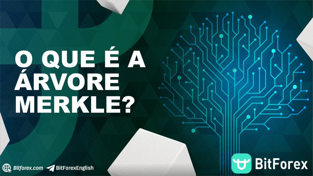 Bitforex Português tweet media