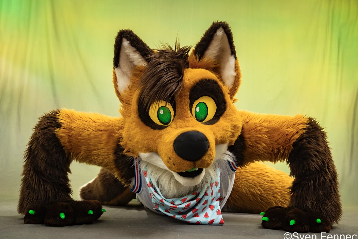 Bark! 

…Who am I gonna be seeing at #furtherconfusion ✨👀✨