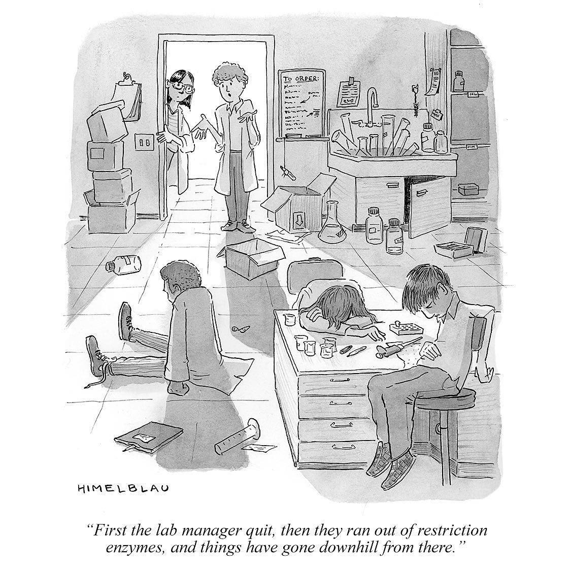 Ed Himelblau (he, him) tweet media