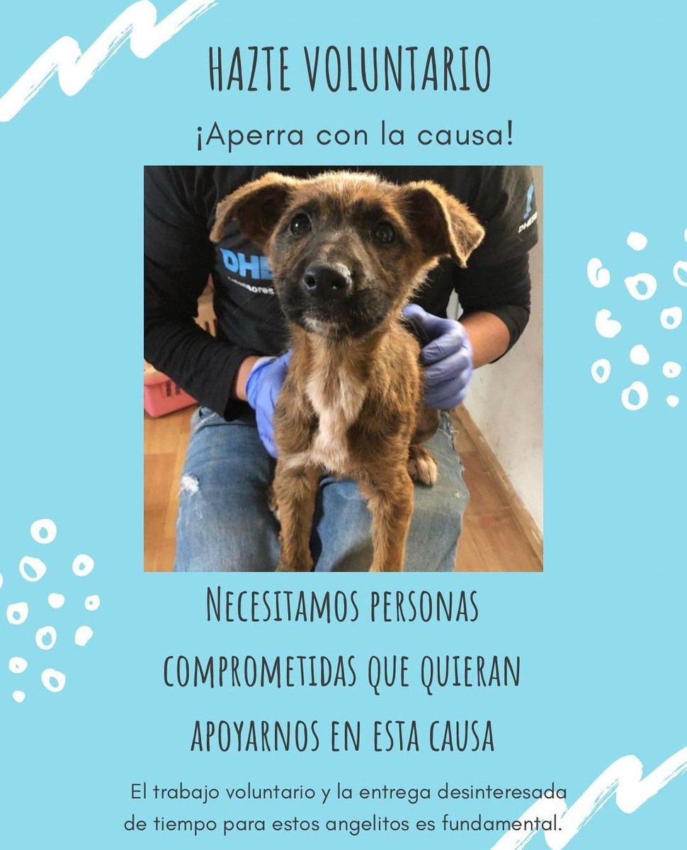 Refugio Dhermes tweet media