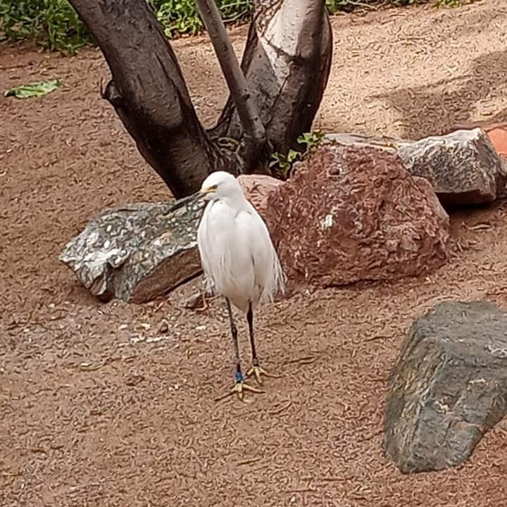 DrakeFowler18's tweet image. 