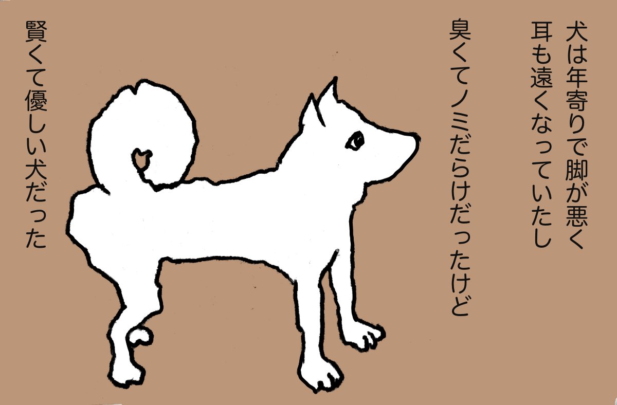 #カメヤ 14 
