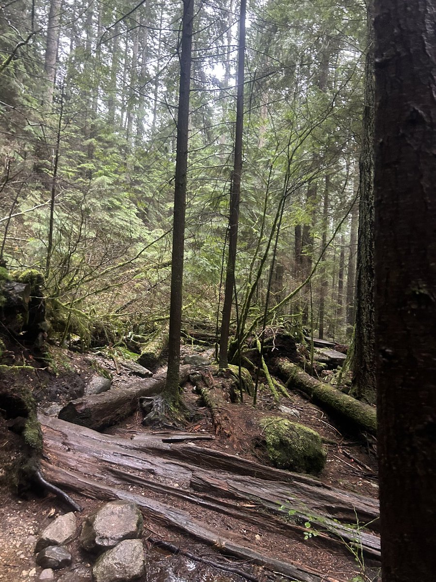 tmulleder's tweet photo. Checked out the company sponsored trail 😂👍. And one of my fave local trials #CMTR #LSCR #buckinghell https://t.co/nBgnyPeqr3