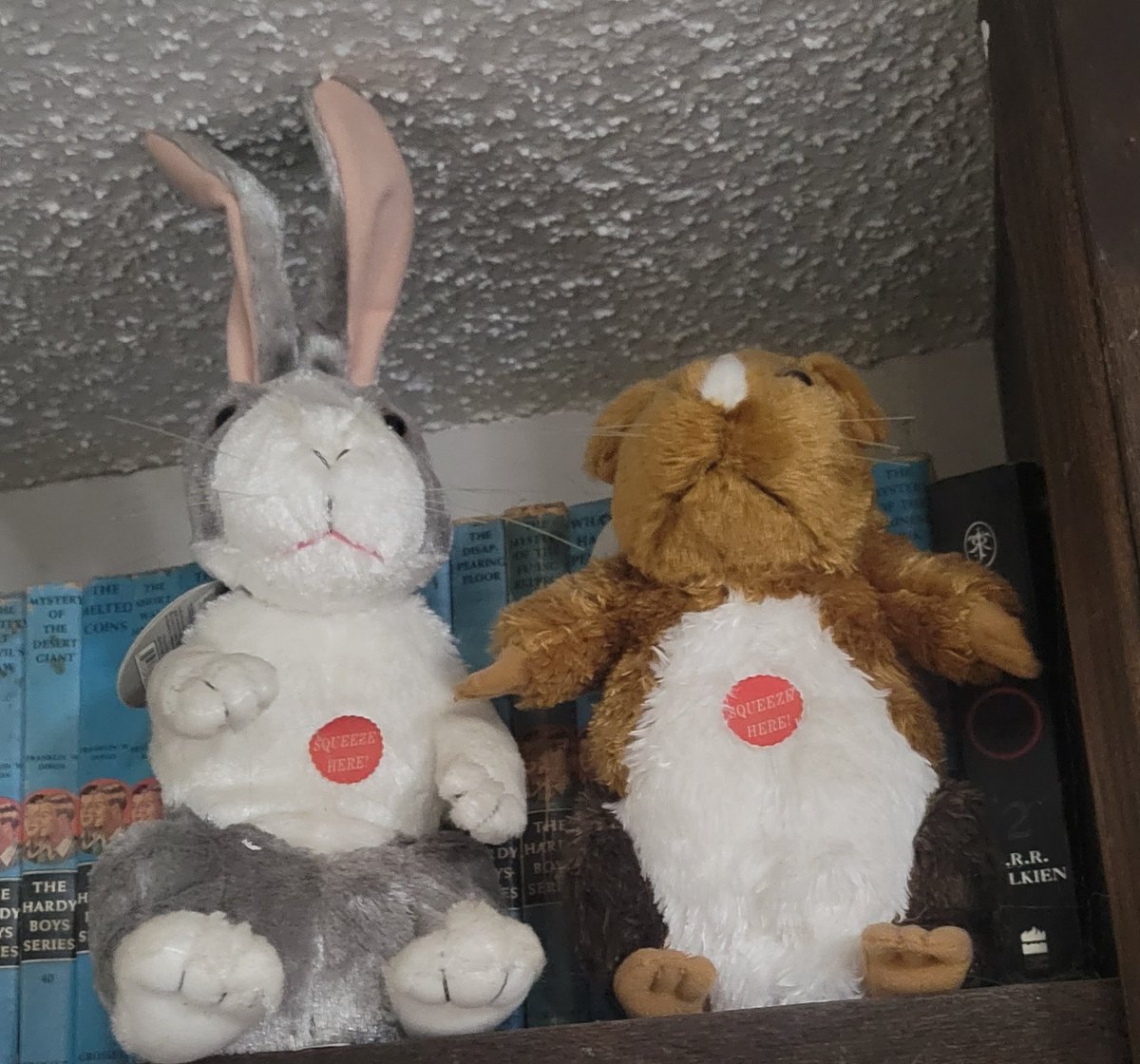 GoldEaglePhoto's tweet photo. @blockbuster back when you were a king. Loved these two mascots https://t.co/DCVPW2sUTJ