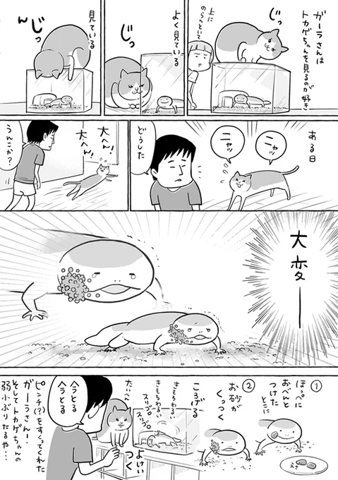 グッジョブガーラさん(上にはのらんといて) 