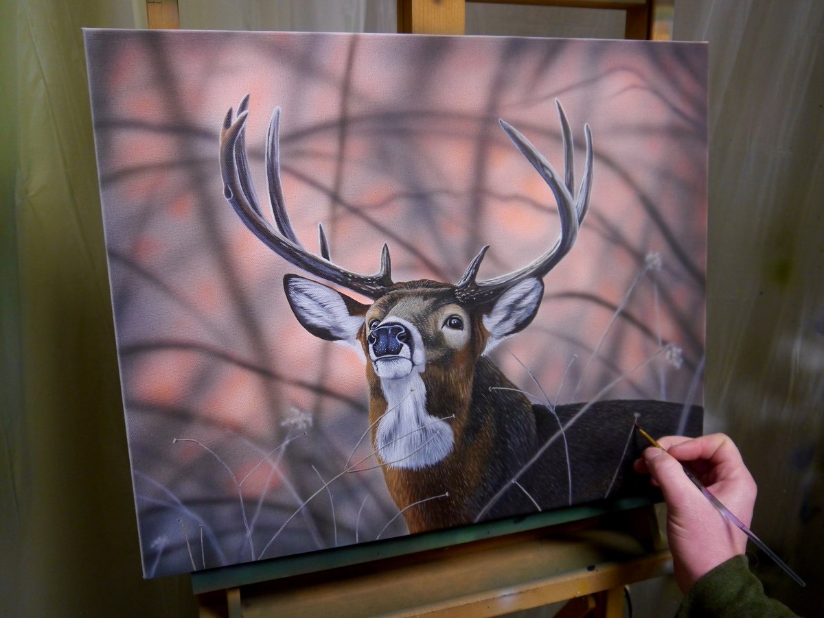 Painting a new whitetail piece 👊🏻 #whitetail #deer <a href="/furfishgame/">Fur-Fish-Game</a> <a href="/MossyOak/">Mossy Oak</a>