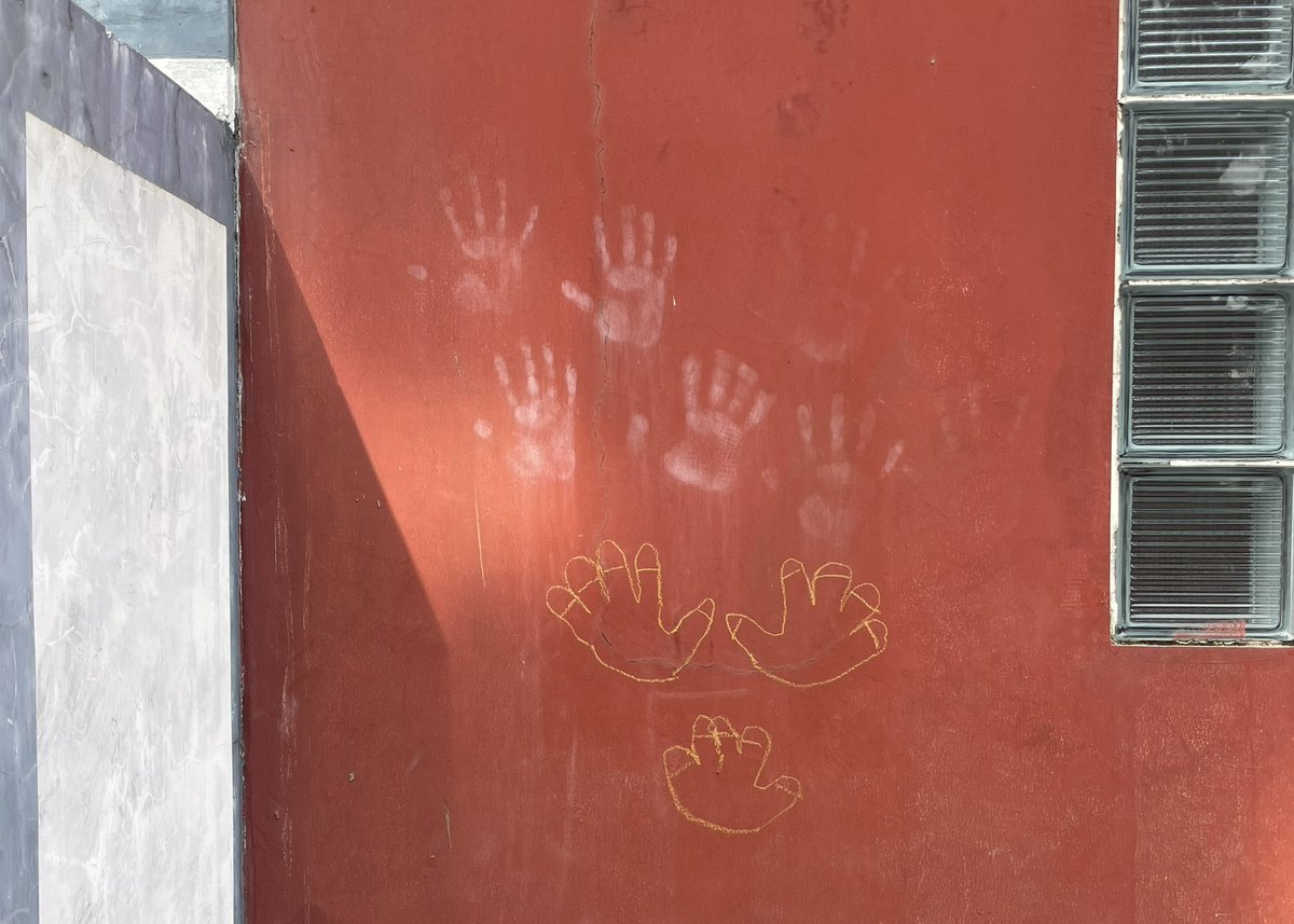 delkotype's tweet photo. morning walk findings https://t.co/aTPtfn5Jff