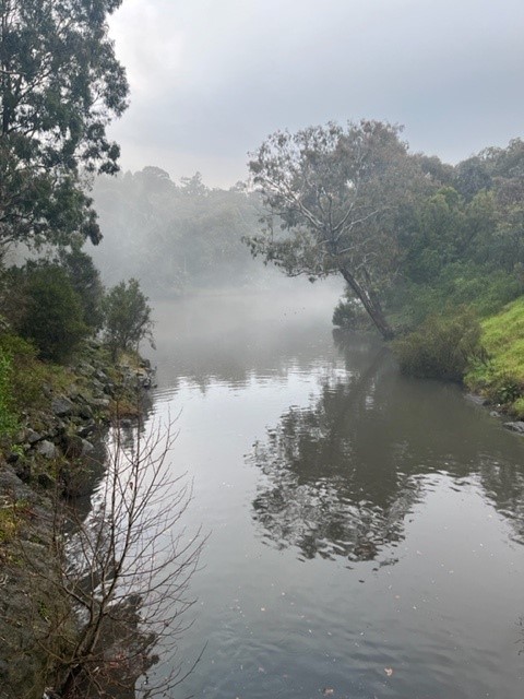 Yarra Watch E. coli data is available on DataVic.

This data is EPA and Melbourne Water's Yarra River bacterial sampling results since December 2013. 

discover.data.vic.gov.au/datas...

@EPA_Victoria <a href="/VicGovAu/">Victorian Government</a>