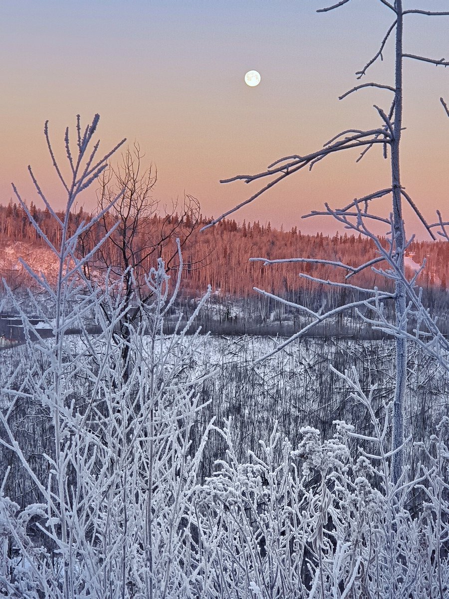 Wolf Moon in dawn in the Woodbuffalo region #CanGeoTravel @weathernetwork @CanGeo #ShareYourWeather @CBCNews