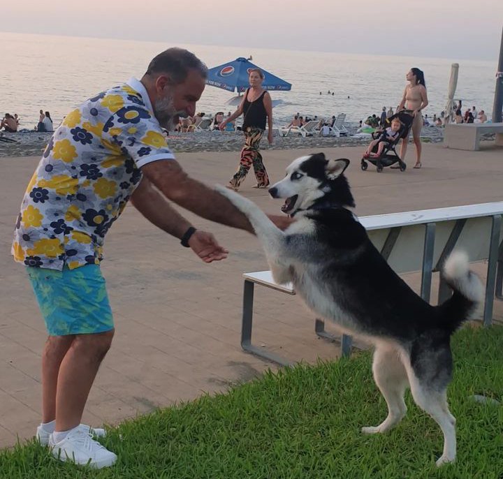 It's a great idea to have a pets lovely wow