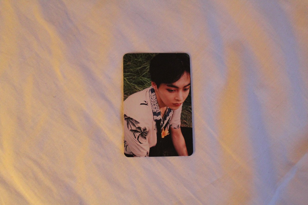 bnnycitizen's tweet photo. close up pics! they're all in perfect condition https://t.co/MTVKOsIH4E