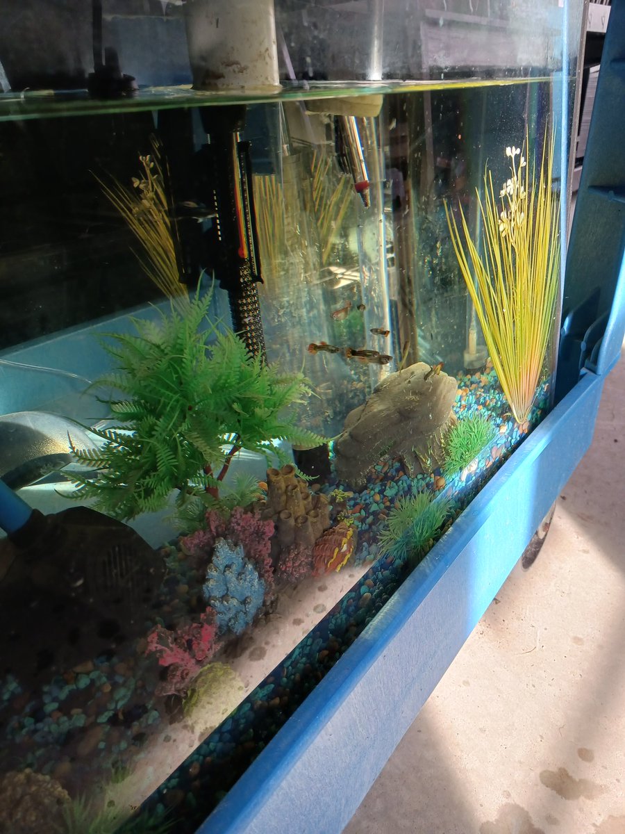 Mrs.EArnold tweet media