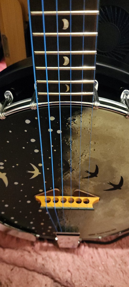 Nicolenya Caltman (@nicolenyaauthor) on Twitter photo Thank you @buckeyebanjos for the gorgeous bridge... And <a href="/drstrings/">DR STRINGS</a> for making these strings! Those are leather picks under the bridge. After Lyme sounds with certain pitch bother me. The picks quite it just enough. Thank you @buckeyebanjos for the gorgeous bridge... And <a href="/drstrings/">DR STRINGS</a> for making these strings! Those are leather picks under the bridge. After Lyme sounds with certain pitch bother me. The picks quite it just enough.