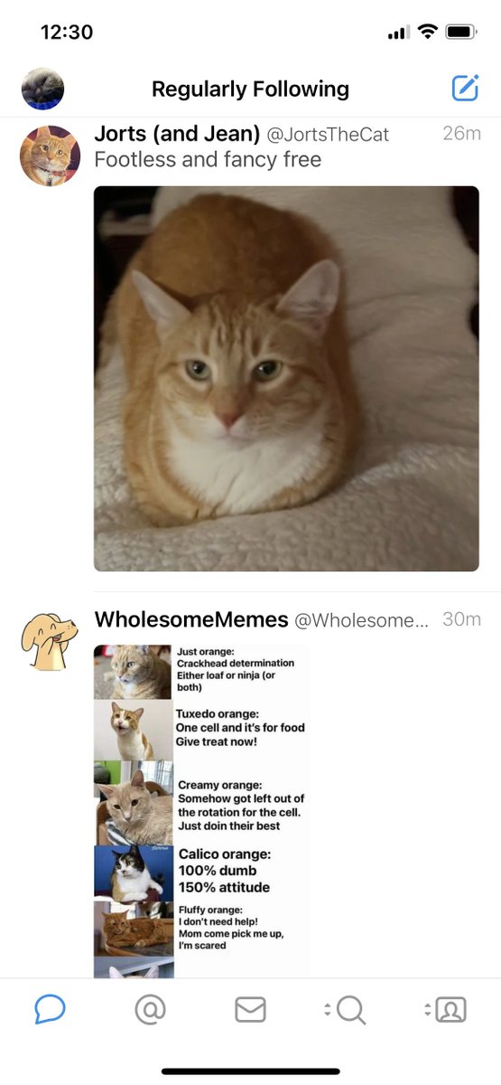 DERP KITTEH tweet media