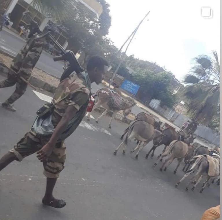ebdebela's tweet photo. Eritrean monstrous soldiers, which are in control of Ethiopia's security &amp; political affairs,turned to bandit and burglary, after 4 years of pervasive barbaric acts on Ethiopian civilians. Stiller continued it’s heinous barbarism and looting after the cessation of hostilities. https://t.co/xz6emyqKhe