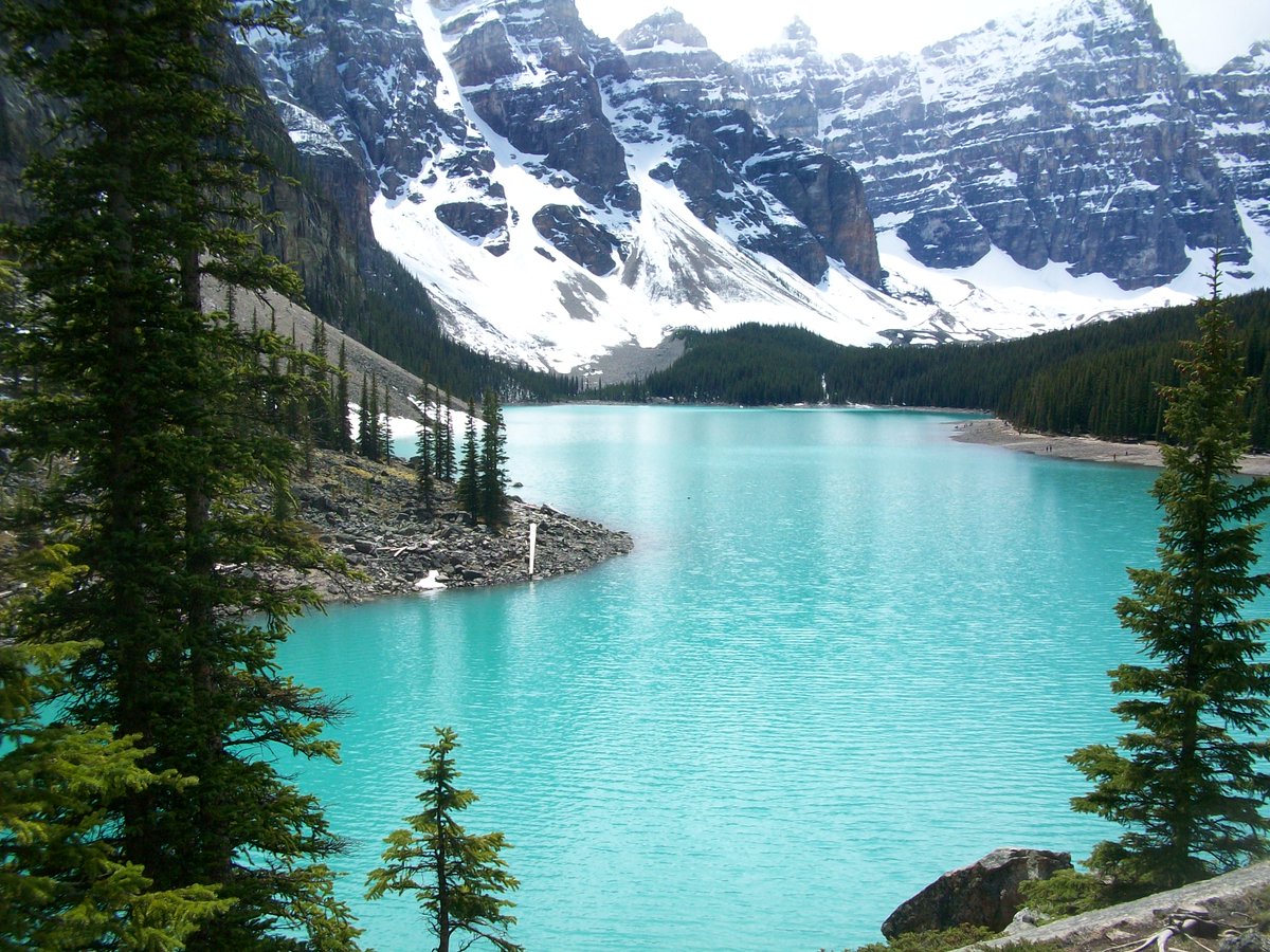 The beautiful #MoraineLake🇨🇦

#MyPhoto📷 #travel🏞️