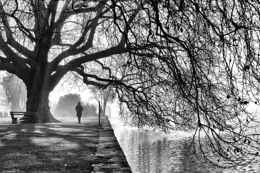 skkweller's tweet photo. Eric Monvoisin  📷#PhotographyIsArt https://t.co/MWNrOhmNrh