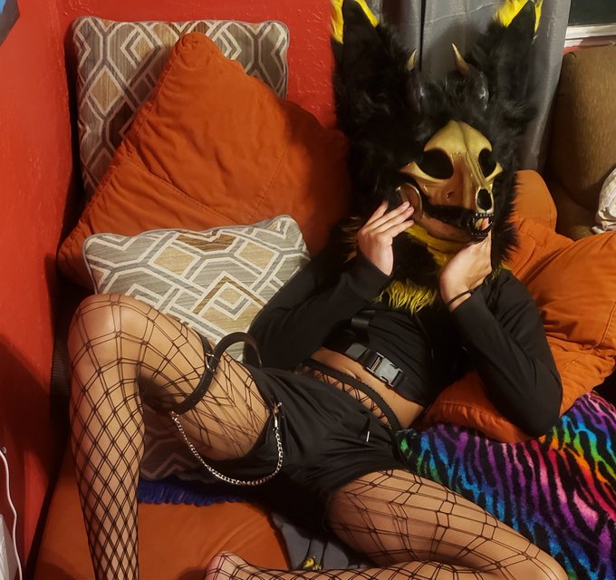 Remember dont feed the scp edibles. ???

#mursuiter #softmursuit #femboy #ebony #cuteskulldog #scp1471