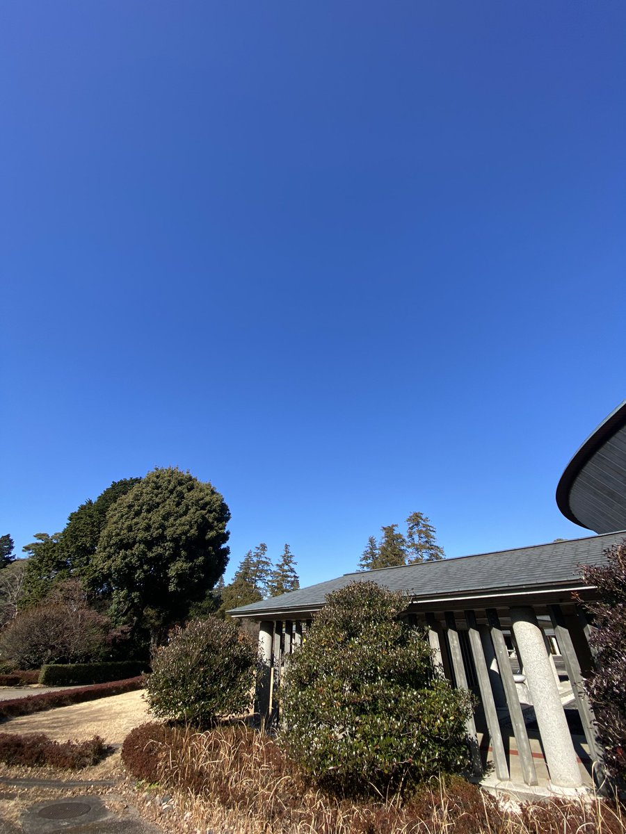 hikeup524's tweet photo. #runmeter 🏃🏽‍♂️☀️気持ちいい青空。ビールノミタイ。ルート: Nogawa 武蔵野の森公園, 時間 1:06:20, 距離 10.05 km, 中間ランに先行 6:49, マップ: https://t.co/IR02OAy8Px, 平均 6:36. https://t.co/iOI6DTGGG5