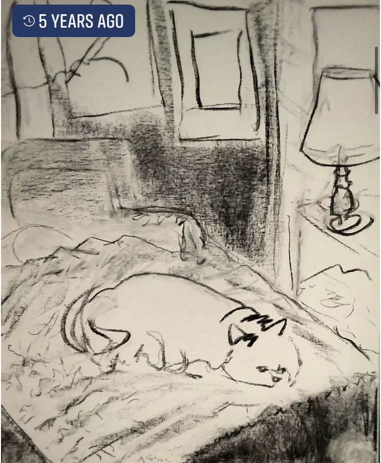 asheahan7's tweet photo. Thinking bout the time I took 7g of shrooms and drew Peanut sleeping on the bed , such a good model 😊 https://t.co/Nvr6WauaMg