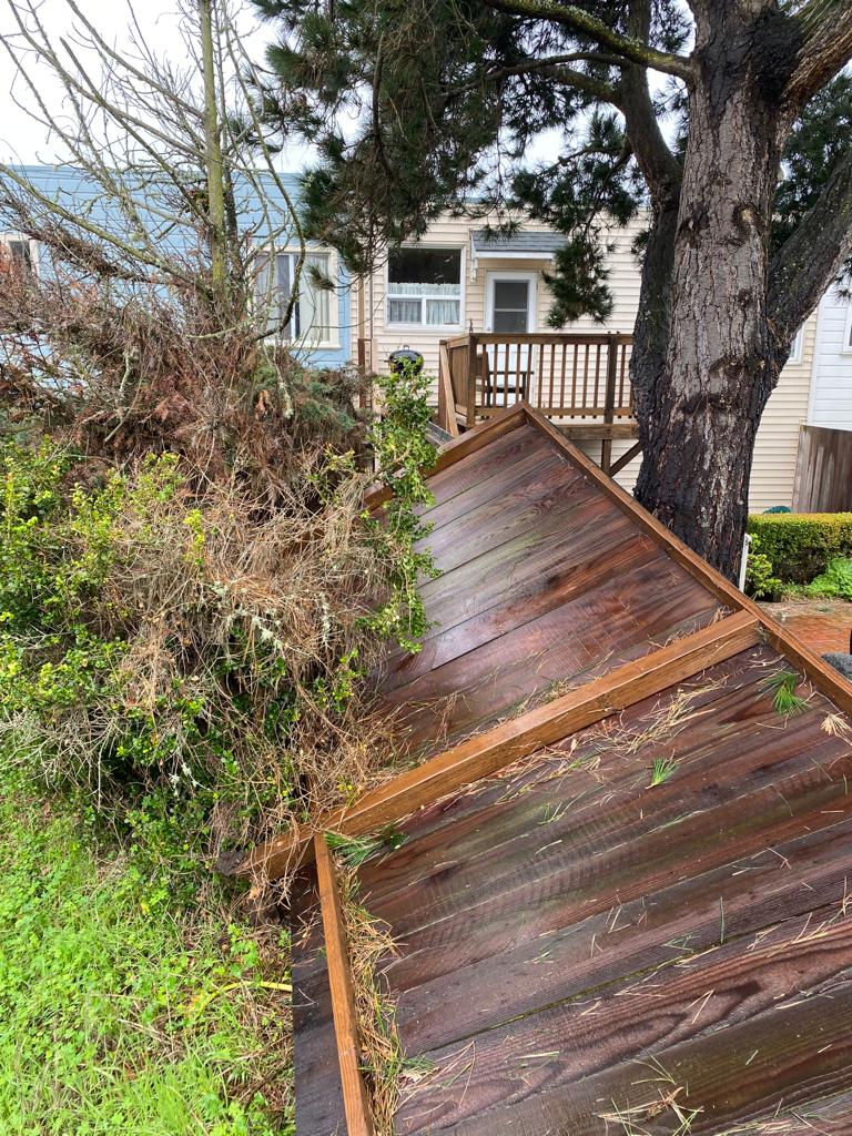 ArboristNow's tweet image. Got storm-damaged trees in San Francisco? @ArboristNow is the right tree company for the job! Get reliable help with professional cutting and removal services today. 

#treeservices #stormcleanup #SanFrancisco