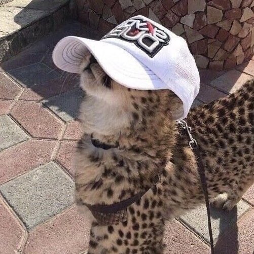오웅..