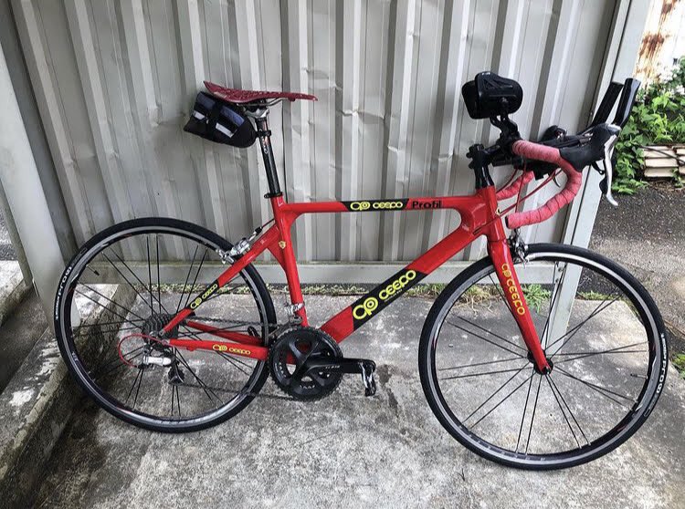 わたぬき tweet media