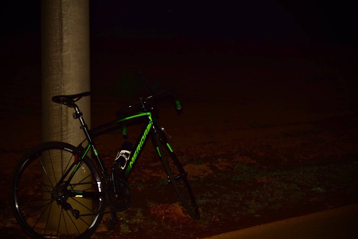 わたぬき tweet media