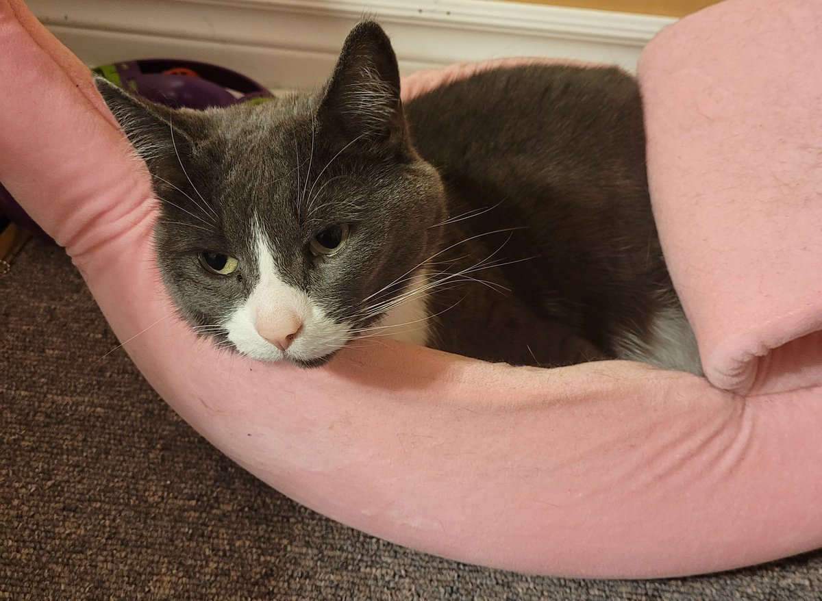 Happy New Year friends