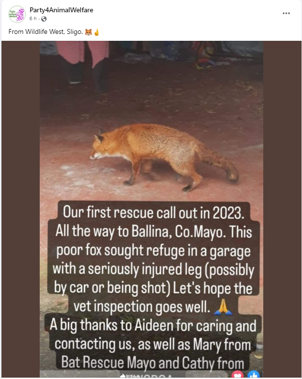 PartyForAnimalWelfare on Twitter: PartyForAnimalWelfare on Twitter: