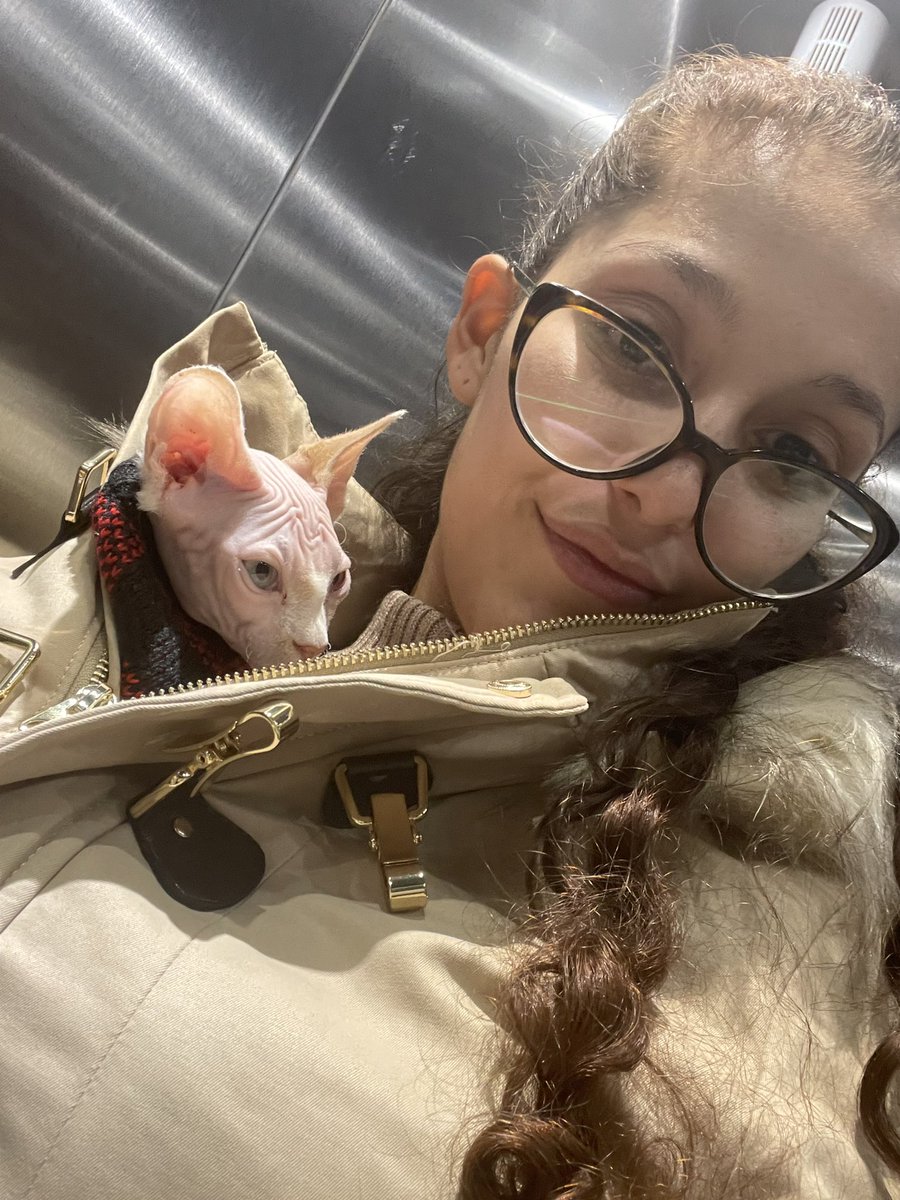 MarLara1997's tweet photo. Toy enamorada de mi gato pelón 🥹
Por fin puedo tener un gatito sin morir de alergia https://t.co/x6gOZuIbZq
