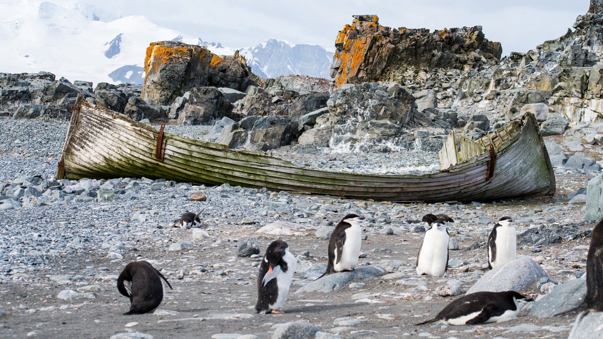 Old abandoned whaling boat at Whalers Bay, Deception Island, South Shetland Islands, #Antarctica. 2/13/2021 #penguins #nikonphotography #nikonoutdoors #wildlifephotography