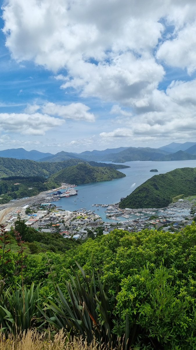 HopahopaZ's tweet photo. 辺境ウォーク Day 4 at
#HillTopView at Picton
美しいマルボロサウンドに囲まれた
北島と南島を繋ぐ港町ピクトン🚢
を一望出来る丘の頂上🐶
急斜面過ぎてハイカーの速度に届かずアーン無しw
#StepApp #FITFI #PRIMAL #PRIMALtakeover #STEPN #Heal3 #M2E #travelphotography #NewZealand https://t.co/ZSRnog6yJV