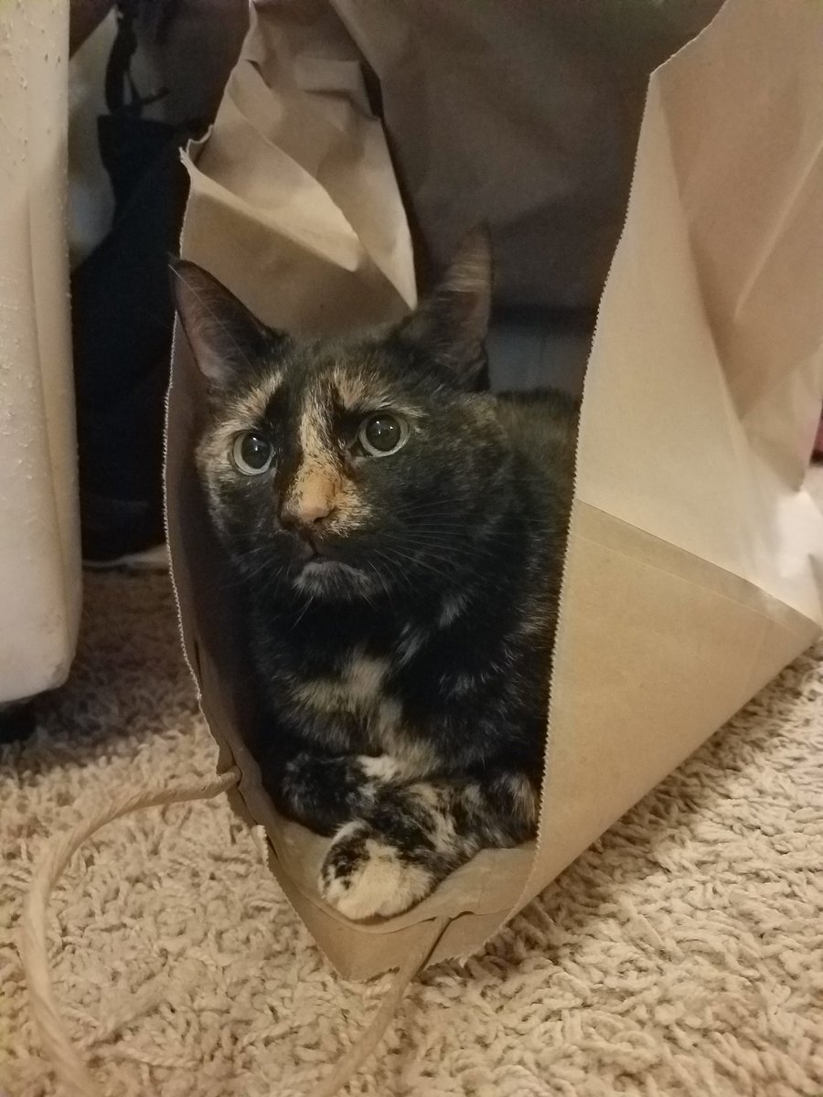 Violetchikin's tweet photo. Bag https://t.co/tkEM0d6Bv8