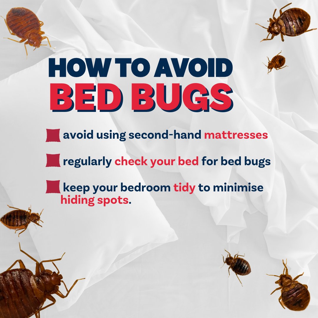 Queensland Health on Twitter "This will make your skin crawl. 🫣 