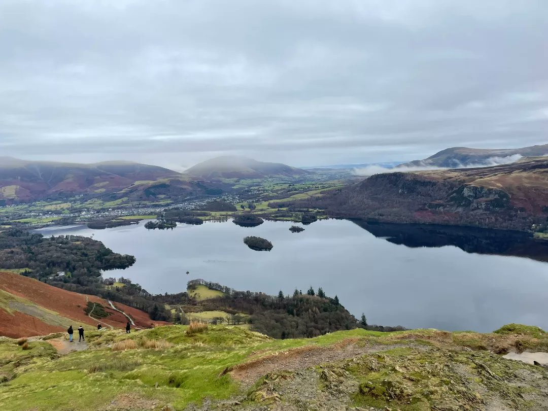 Joanna Harries tweet media