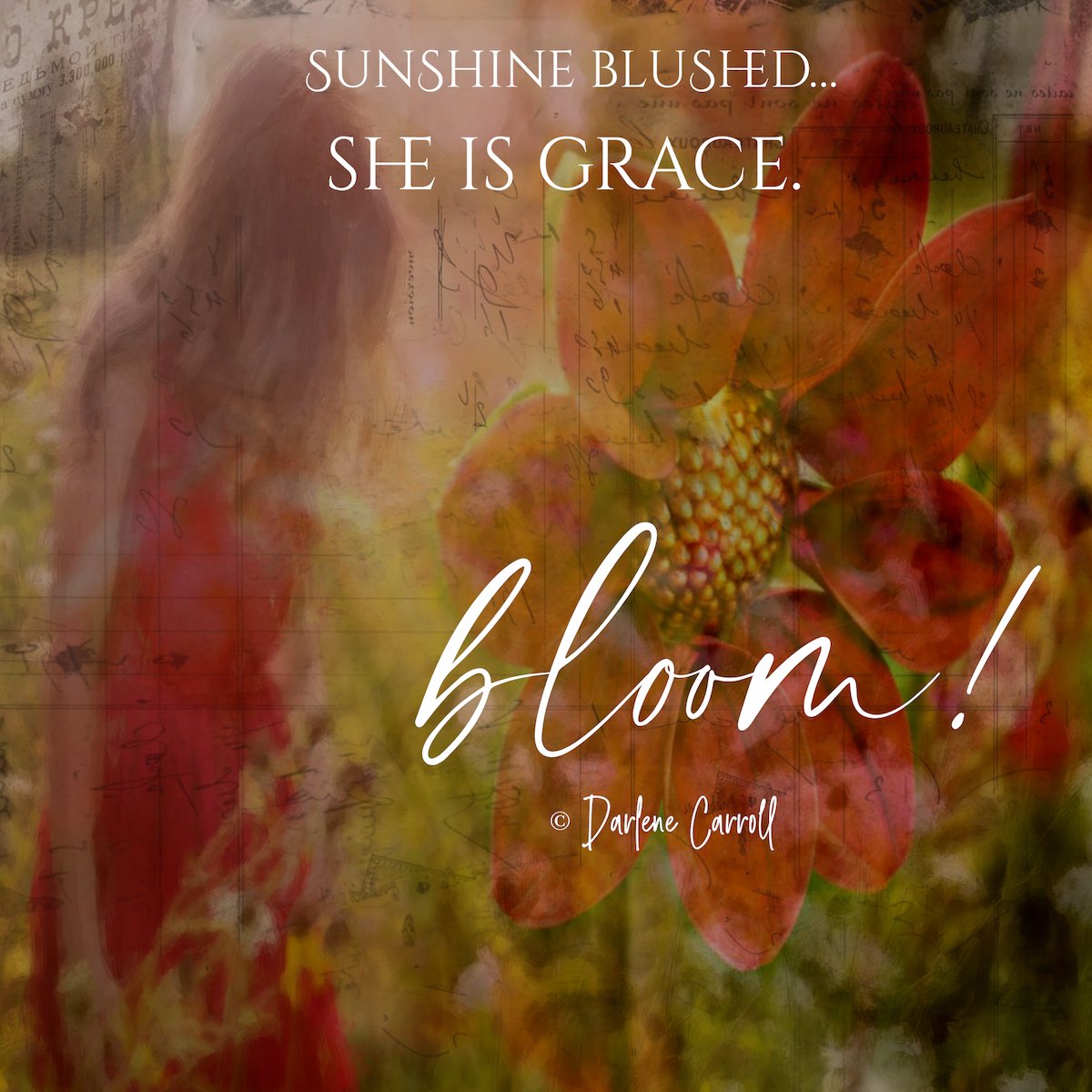 dajc_thoughts's tweet photo. sunshine blushed…
#fridayfancy #poeticplayground #writing #sixwords #bloom #flowers #artistry #grace #blush #nature #sunshine https://t.co/43eOwetjbd